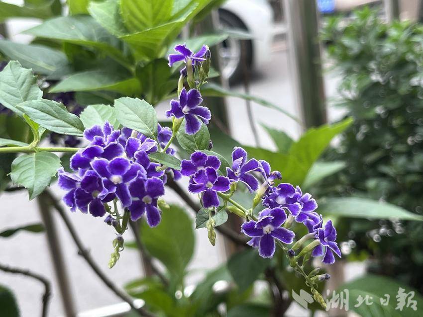 集结号大厅登录